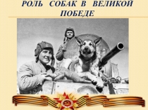 Презентация к 75-летию Великой Победы Роль собак в Великой победе!
