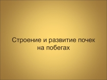 Презентация по биологии на темуСтроение почек(6 класс)
