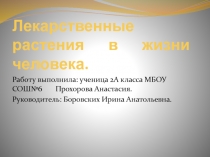 Презентация Лекарственные растения в жизни человека