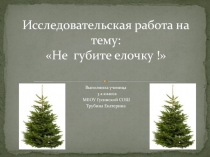 Презентация исследовательской работы по экологии