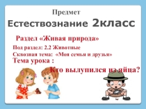 Кто вылупился из яйца?