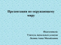 Презентация Свойства воды в жидком состоянии