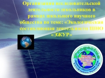 Экологическая составляющая деятельности ШНО ЭЖУР