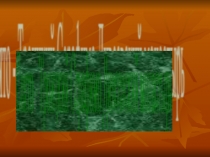 Презентация Дивеевский монастырь (Нижегородская область)