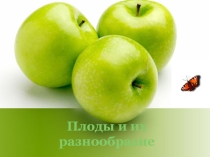 Презентация по биологии на тему