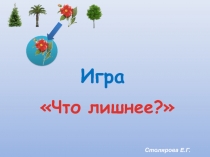 ПРЕЗЕНТАЦИЯ. Игра: Что лишнее?