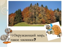 Презентация к уроку Что такое хвоинки?