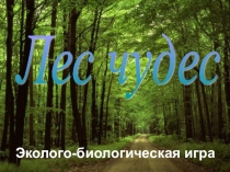 Мультимедийная эколого-биологическая игра Лес чудес