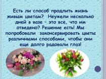 Презентация к уроку окружающего мира Консервирование цветов