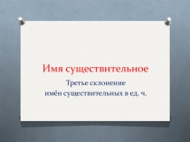 Конспект урока по русскому языку в 5 классе Третье склонение имен существительных в ед.ч. Повторительно - обобщающий урок