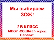 Презентация Мы ввыбираем ЗОЖ