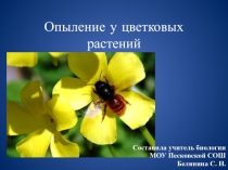 Презентация по биологии на тему Опыление у Цветковых растений (6 класс)