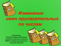 Презентация по русскому языку Изменение имен прилагательных по числам 3 класс