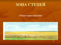 Зона степей