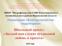 Презентация к конкурсу социальных проектов на тему: Звездой нам служит путеводной любовь и красота