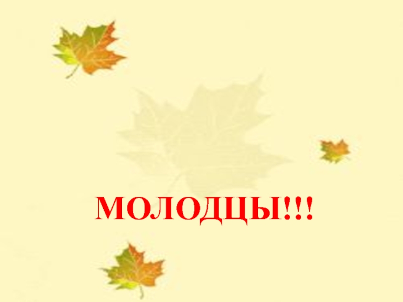 Презентация по русскому языку Подготовка к ВПР 2017(5 класс) МОЛОДЦЫ!!! МОЛОДЦЫ!!!