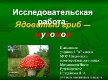 Исследовательская работа на темуМухомор
