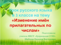 Презентация по русскому языку на тему Число имен прилагательных (3 класс)