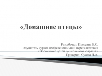 Презентация по развитию речи Домашние птицы