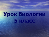 Презентация к уроку биологии в 5 классе Жизнь организмов в морях и океанах.
