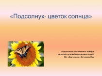 Презентация к конспекту НОД Подсолнух-цветок солнца