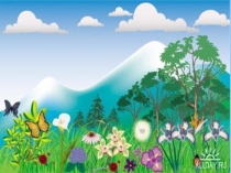 Презентация по окружающему миру на тему Части растений (1 класс)