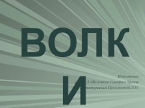 Презентация по окружающему миру на тему Волки