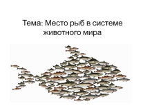 Презентация Место рыб в системе животного мира