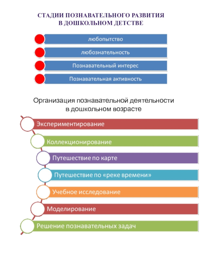 Реализация образовательной области Познавательное развитие с учетом требований ФГОС ДО СТАДИИ ПОЗНАВАТЕЛЬНОГО РАЗВИТИЯ В ДОШКОЛЬНОМ ДЕТСТВЕОрганизация познавательной деятельности в дошкольном возрасте СТАДИИ ПОЗНАВАТЕЛЬНОГО РАЗВИТИЯ В ДОШКОЛЬНОМ ДЕТСТВЕОрганизация познавательной деятельности в дошкольном возрасте