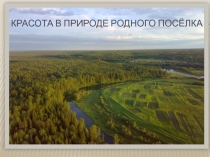 Презентация по окружающему миру 2 класс