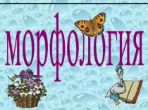 Презентация по русскому языку Роль имен существительных(6 класс)