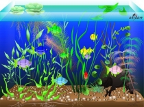 Презентация по технологии на тему: Аквариум