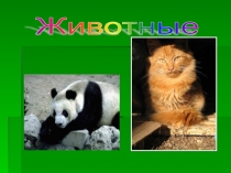 Урок с презентацией по Окружающему миру