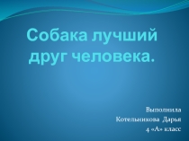 Презентация по окружающему миру на тему Собака лучший друг человека.