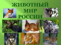Презентация Животный мир России к внеурочному занятию (4 класс)