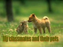 Презентация по теме: Мои одноклассники и их домашние животные.