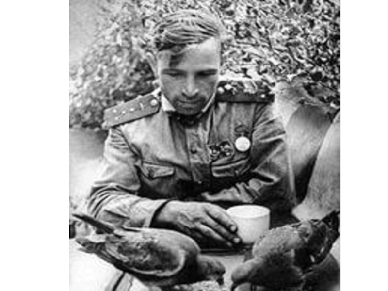 Презентация к песне группы Любэ А зори здесь тихие...
