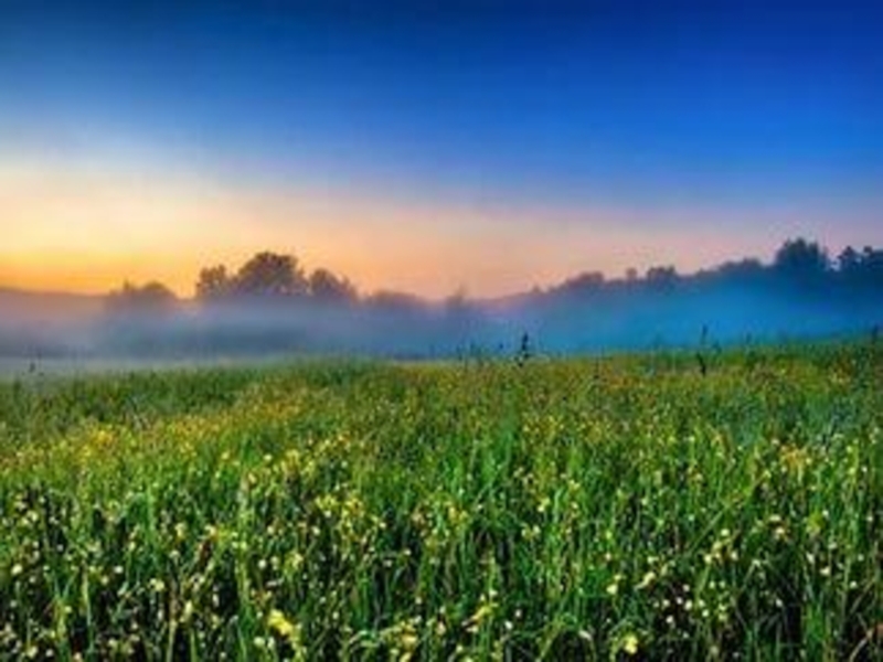 Презентация к песне группы Любэ А зори здесь тихие...