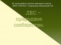 Презентация к уроку окружающего мира  Лес - природное сообщество 4 класс