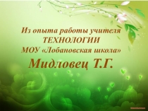 Из опыта работы учителя ТЕХНОЛОГИИ МОУ Лобановская школа Мидловец Т.Г.