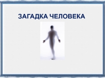 Презентация по обществознанию на тему Загадка человека