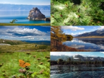 Презентация по окружающему миру на тему Красная книга