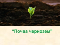 Презентация по географии на тему Почва чернозем