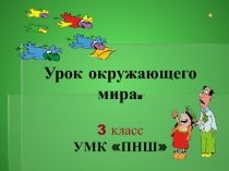 Презентация по окружающему мируЗначение леса