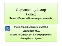 Презентация и разработка урока по окружающему миру по теме Разнообразие растений