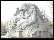 Презентация к уроку Смысл рассказа В. Богомолова Сердца моего боль