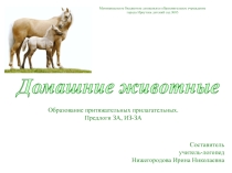 Презентация по теме Домашние животные. Образование притяжательных прилагательных. Предлоги За, ИЗ-ЗА