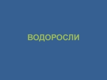 Презентация по биологии на тему ВОДОРОСЛИ