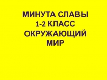Презентация по окружающему миру игра Минута славы