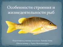 Особенности строения и жизнедеятельности рыб